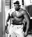 Bob Schott in Force: Five