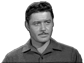 Guy Williams