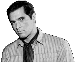 John Gavin