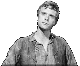 Keir Dullea