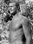 Martin Milner