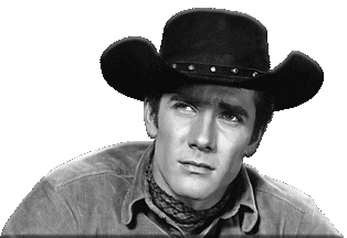 Robert Fuller