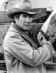 Robert Fuller