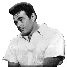 Stuart Whitman