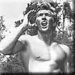 Denny Miller