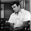 Stuart Whitman