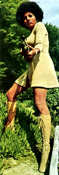 pamgrier14.jpg