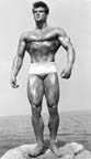 Steve Reeves