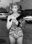 Anne Francis