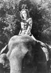 Frances Gifford