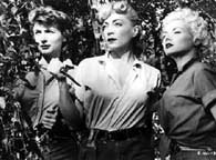 Jil Jarmyn, Marie Windsor, and Carole Mathews