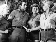 Carole Mathews, Mike Connors, Jil Jarmyn, and Marie Windsor