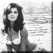 Visit the Pamela Tiffin page at Brian's Drive-In Theater