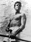 Guy Madison