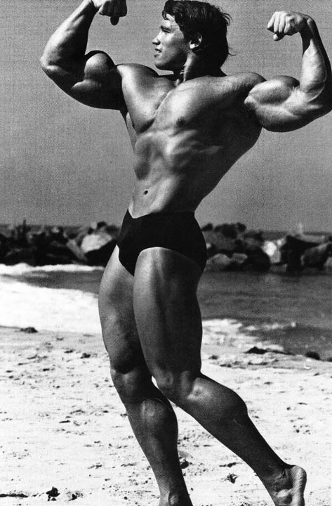 arnold24.jpg