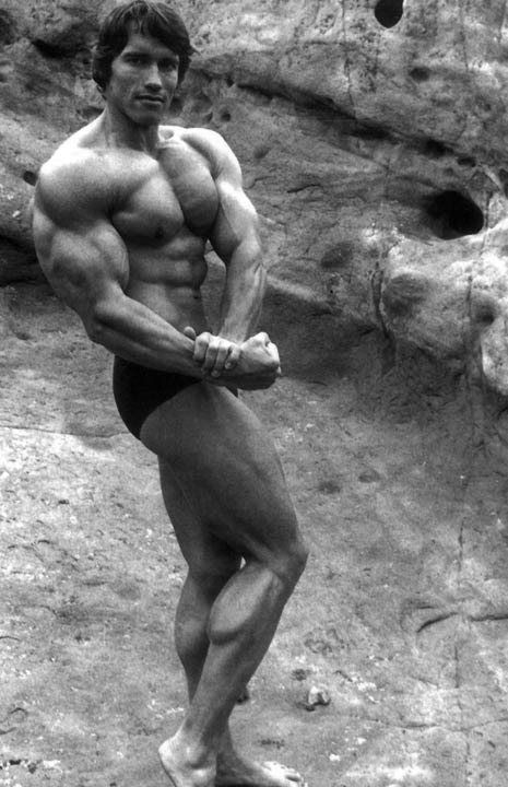 arnold schwarzenegger bodybuilding photos. arnold schwarzenegger