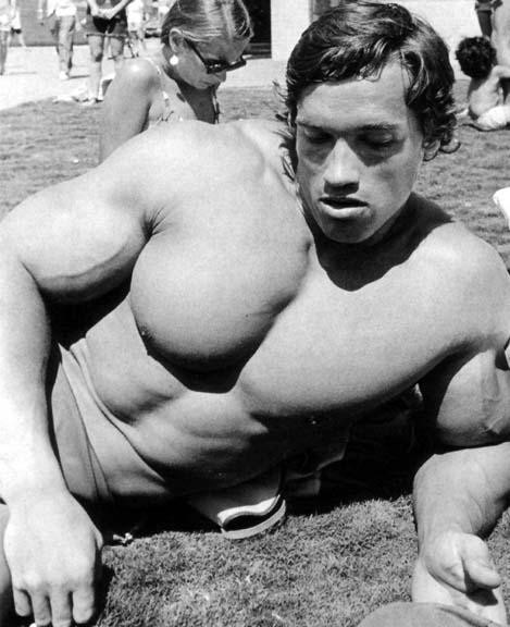 arnold schwarzenegger workout pictures. arnold schwarzenegger workout.