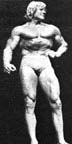 Dave Draper