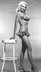 Joi Lansing