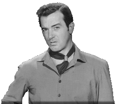 John Payne