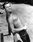 Ty Hardin